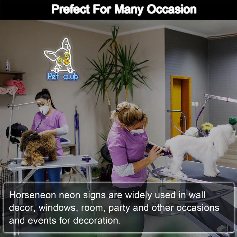 Pet Club 5V USB LED-neoonsilt – eelarvesõbralik