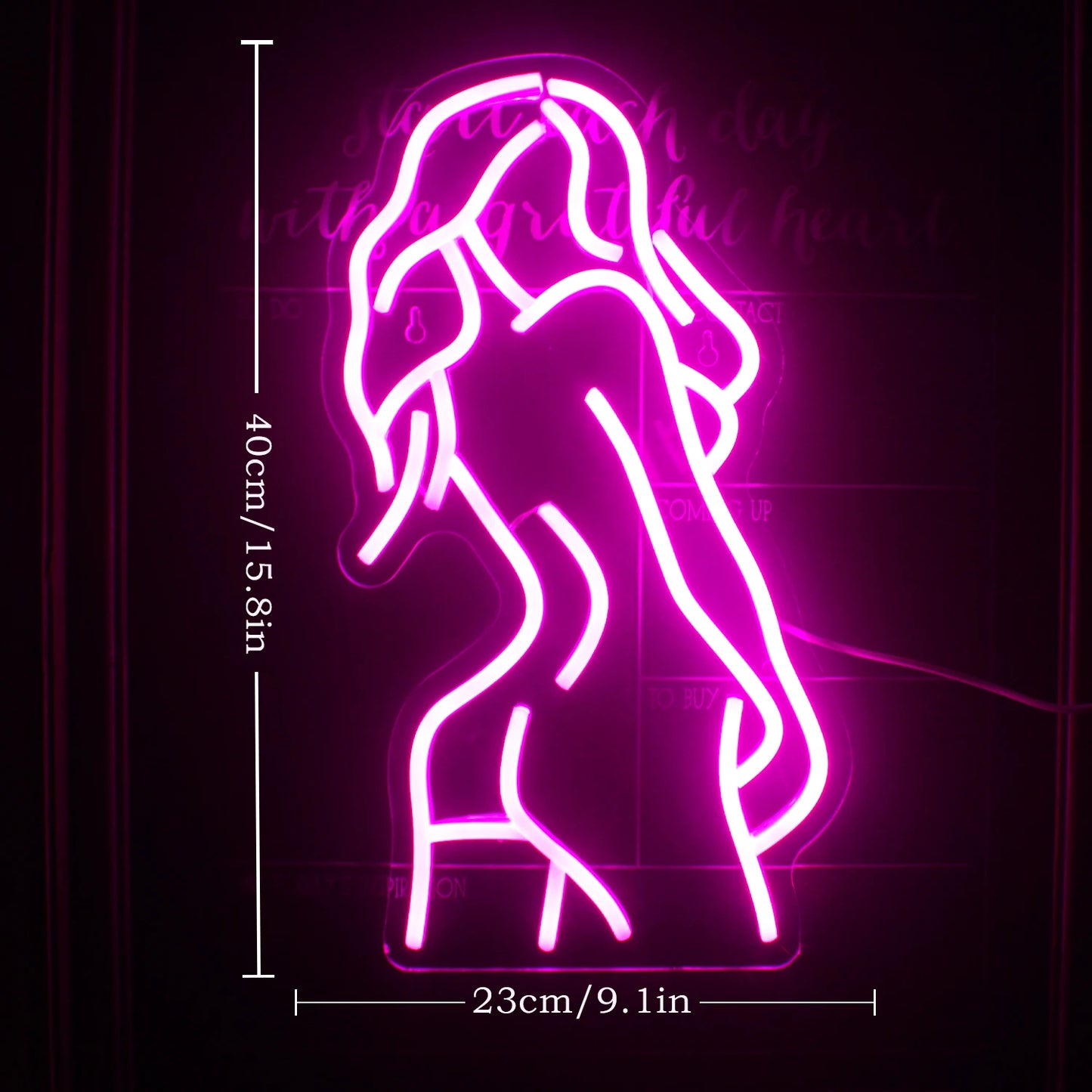 Cuerpo Sexy de Mujer 5V USB Letrero LED - Económico