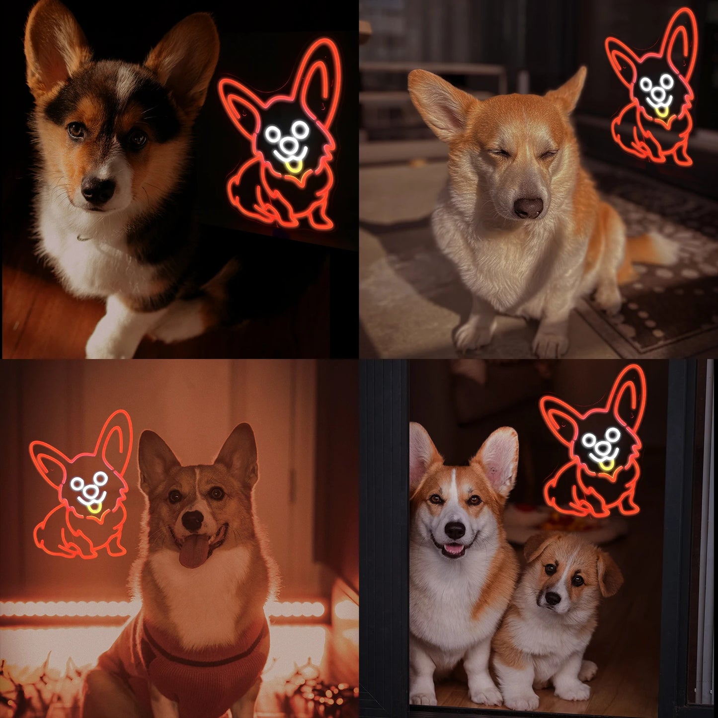 Cartel LED de Corgi Rojo 5V USB - Económico