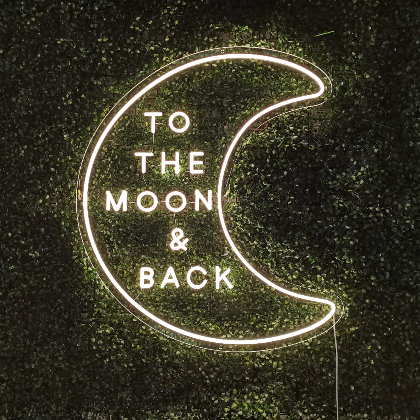 To the moon & Back Neon sign - The Art Neon