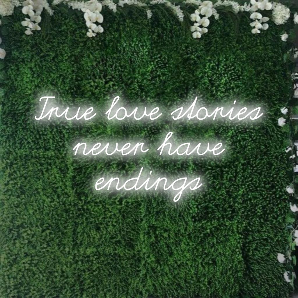 A vibrant LED neon sign that reads True Love Stories Never Have Endings, perfect for personalized decor; eye-catching neon light.