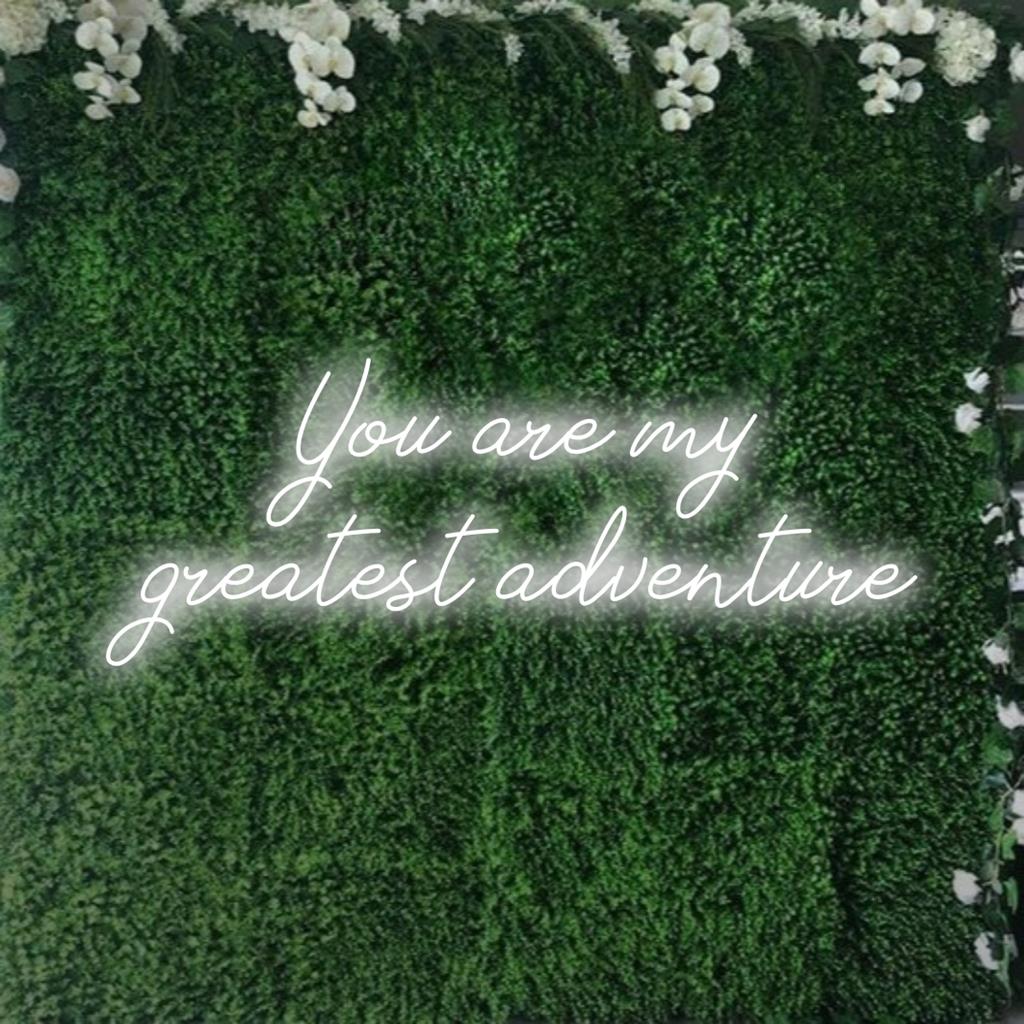 Insegna al neon a LED personalizzata con la frase You Are My Greatest Adventure, perfetta per decorazioni al neon personalizzate.