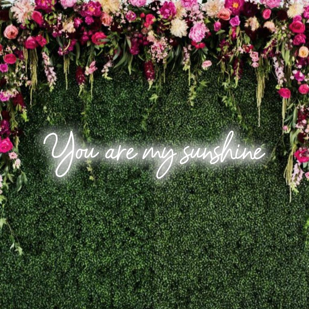 Kohandatud LED-neoonsilt on erekollases kirjas You Are My Sunshine; lisab teie ruumile sooja ja isikupärase hõngu.