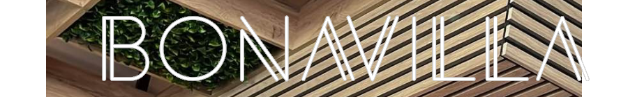 Semn Neon Personalizat: Bonavilla