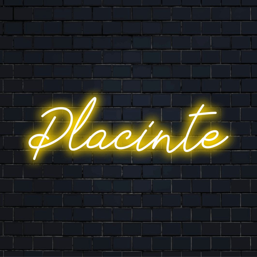 Placinte Neon Light with bright neon lettering against black brick wall