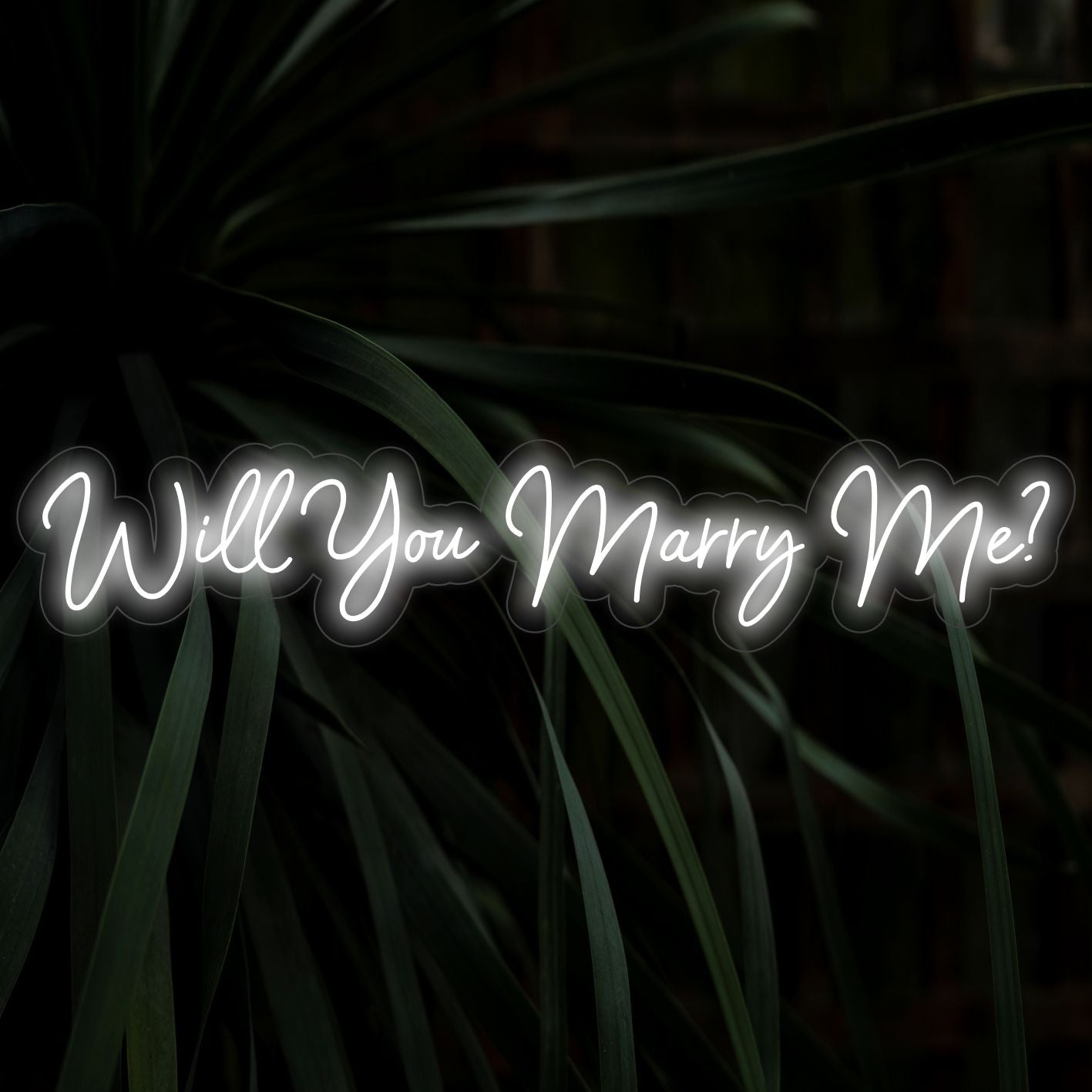 Will You Marry Me LED-neoonmärk – kunstneoon