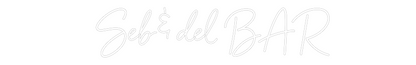 Custom Neon:  Seb & del BAR 