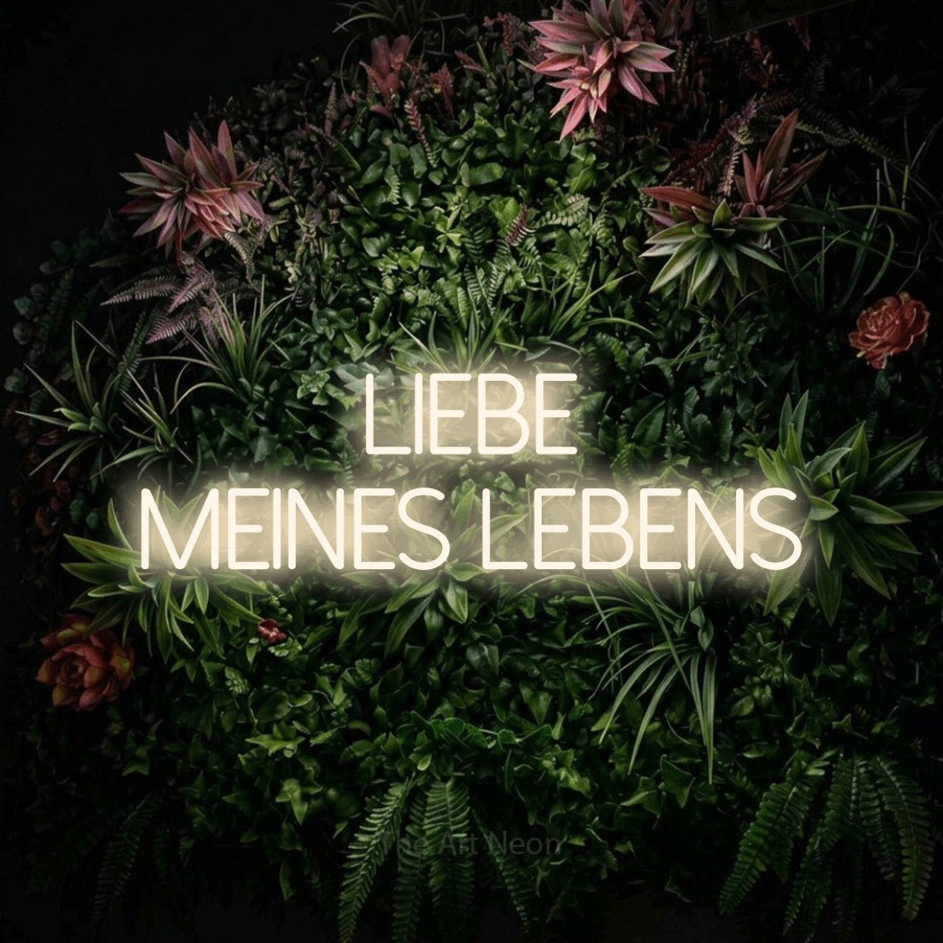 LED neon sign reading “Liebe meines Lebens”, arranged in 2 lines.