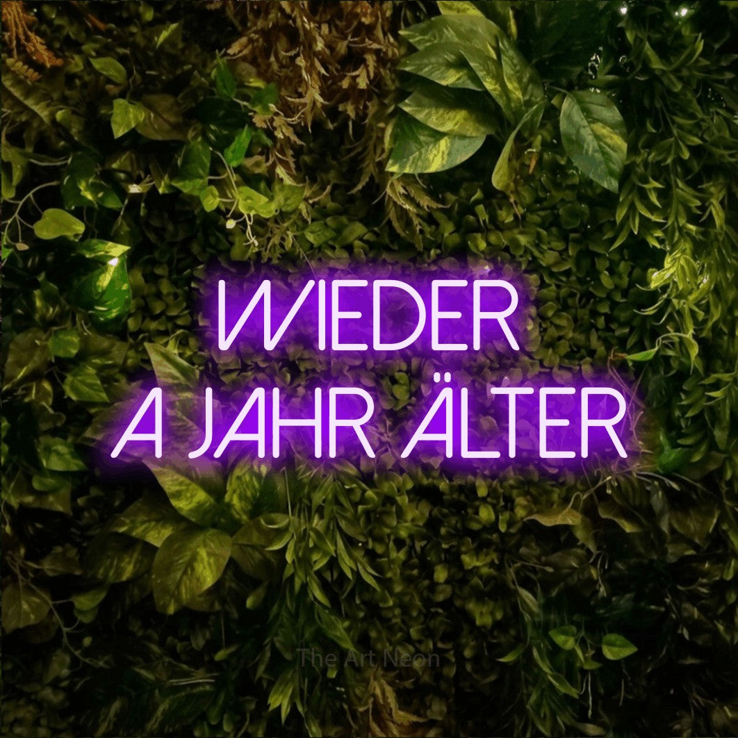 LED neon sign reading “wieder a jahr älter”, arranged in 2 lines.