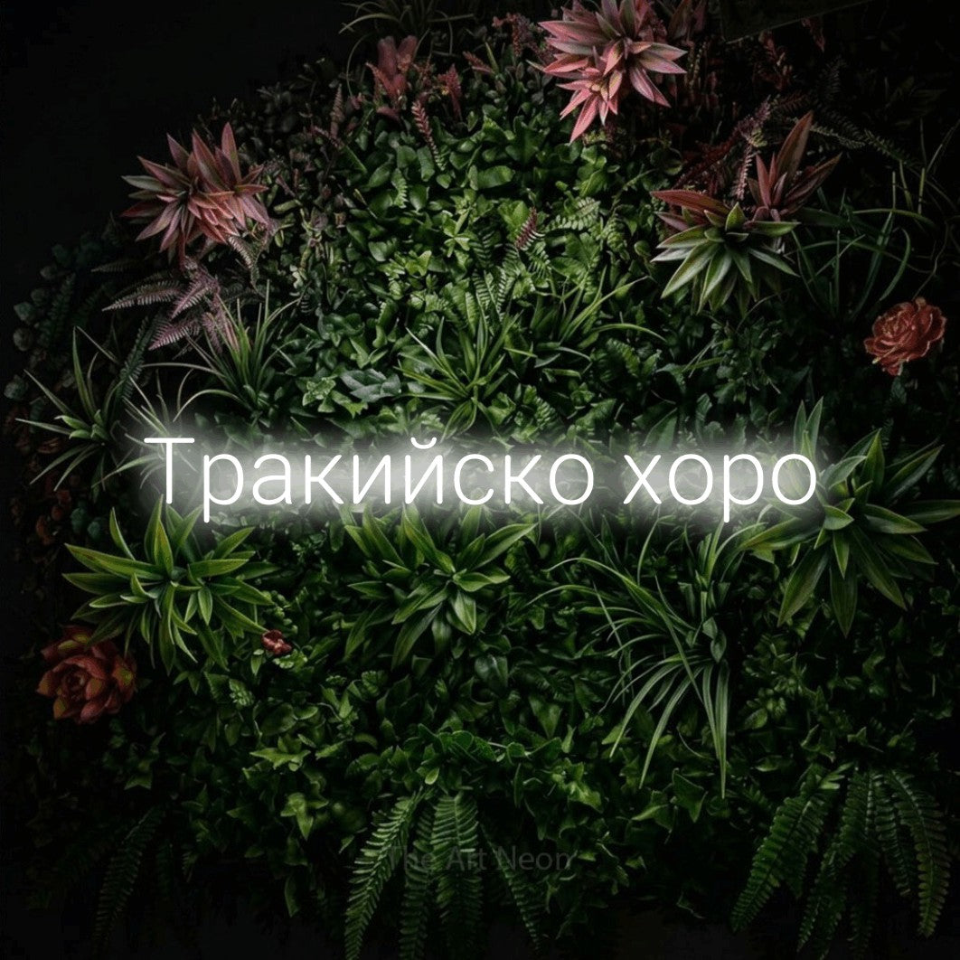 LED neon sign reading “Тракийско хоро”, arranged in a single line.
