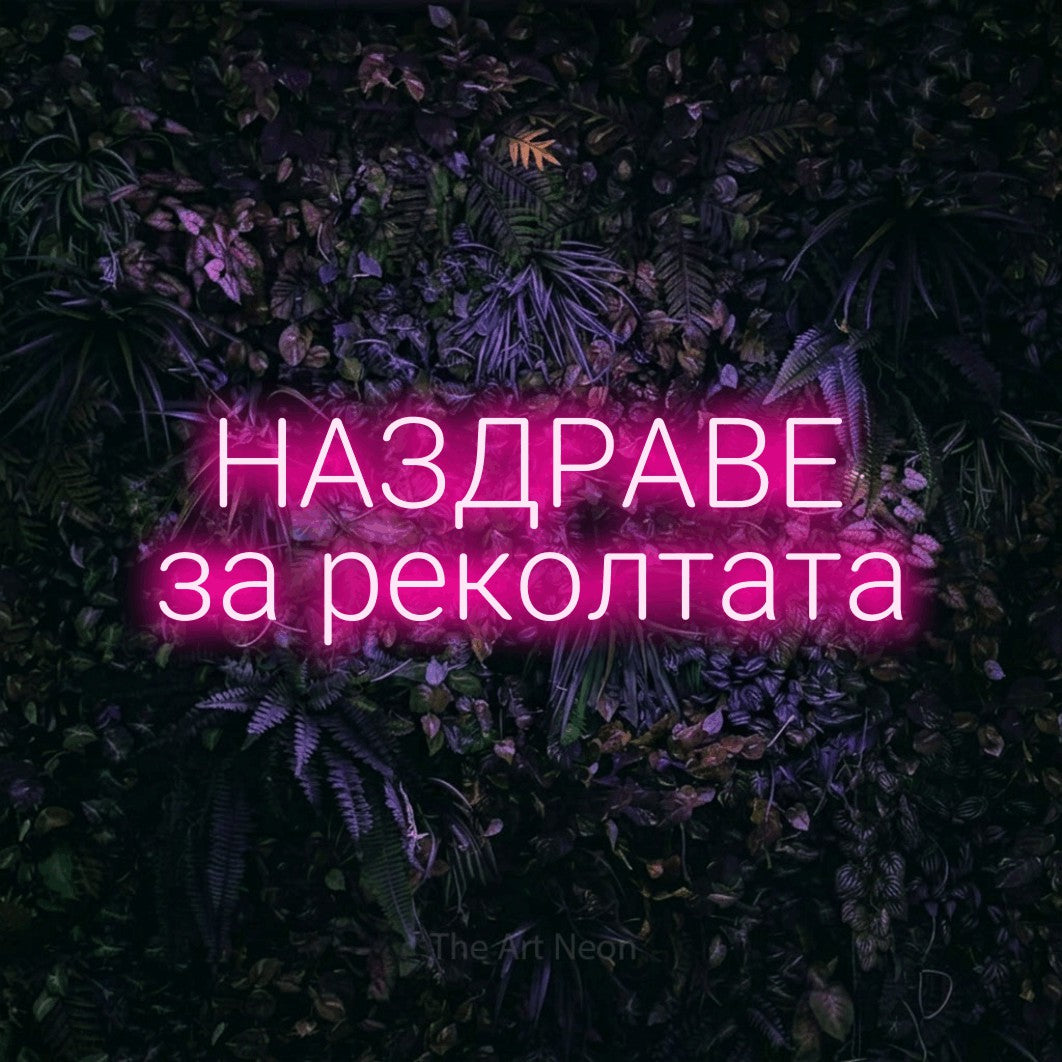 LED neon sign reading “НАЗДРАВЕ за реколтата”, arranged in two lines.