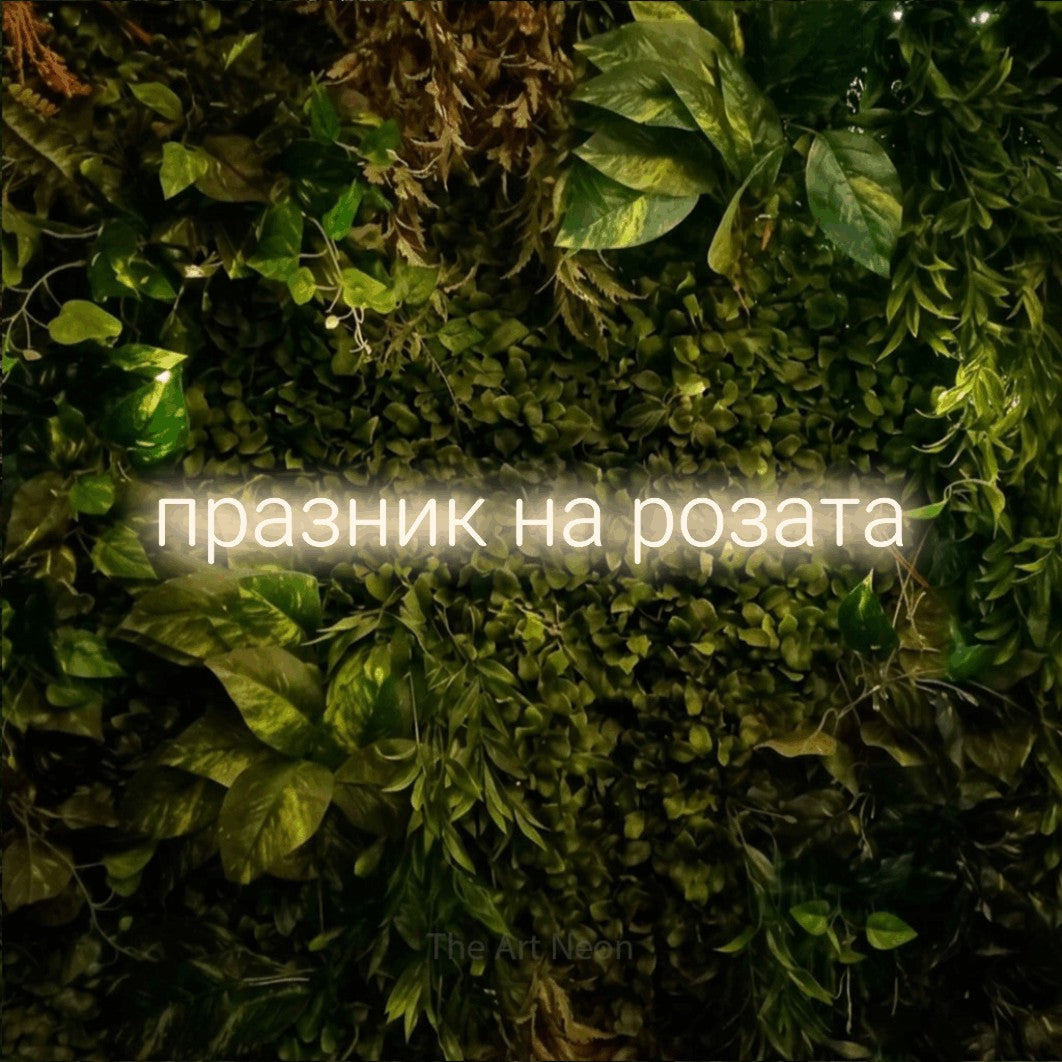 LED neon sign reading “празник на розата”, arranged in a single line.