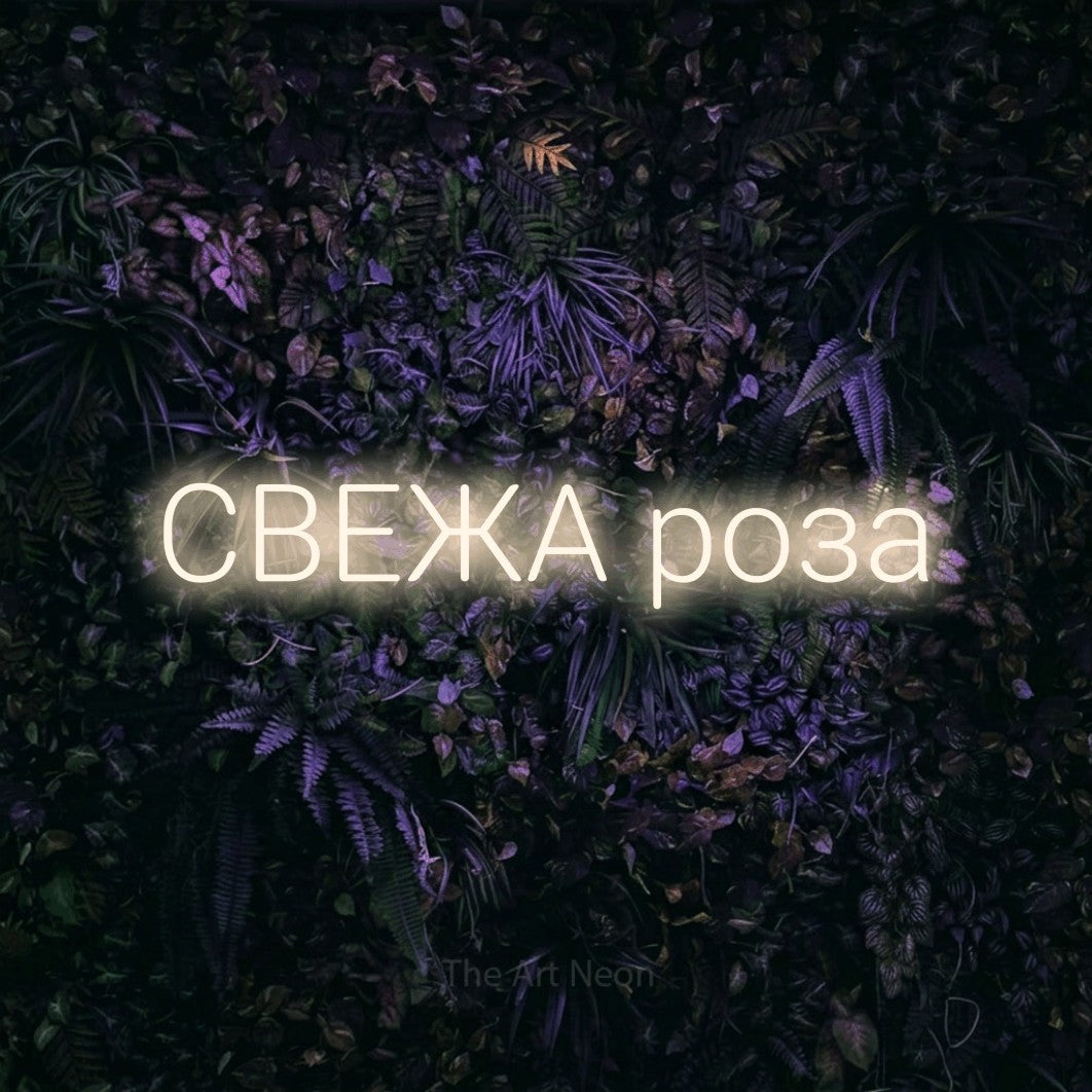 LED neon sign reading “СВЕЖА роза”, arranged in a single line.
