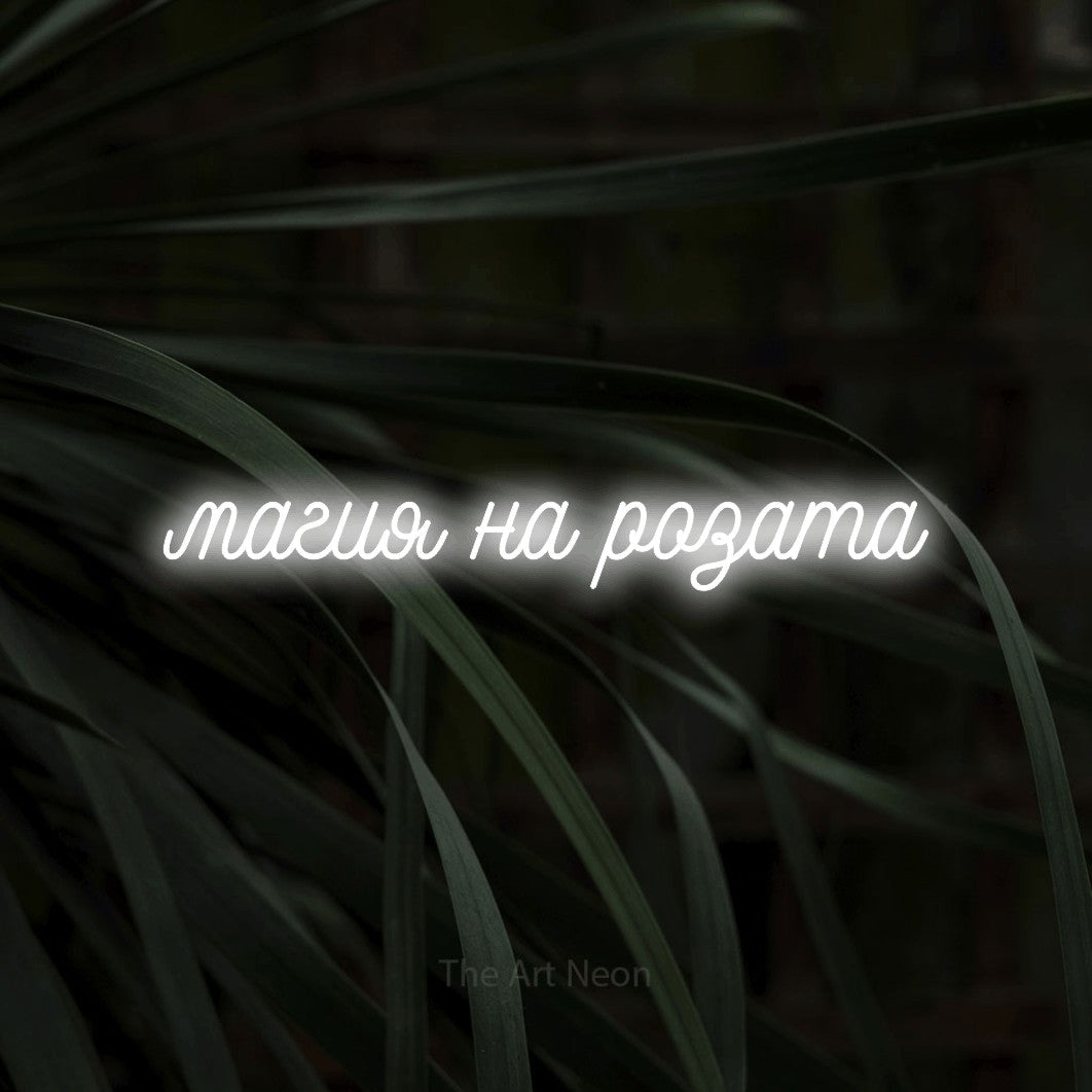 LED neon sign reading “магия на розата”, arranged in a single line.