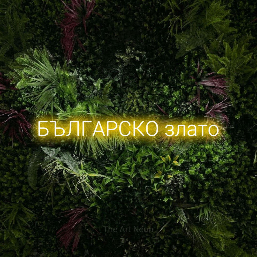 LED neon sign reading “БЪЛГАРСКО злато”, arranged in a single line.