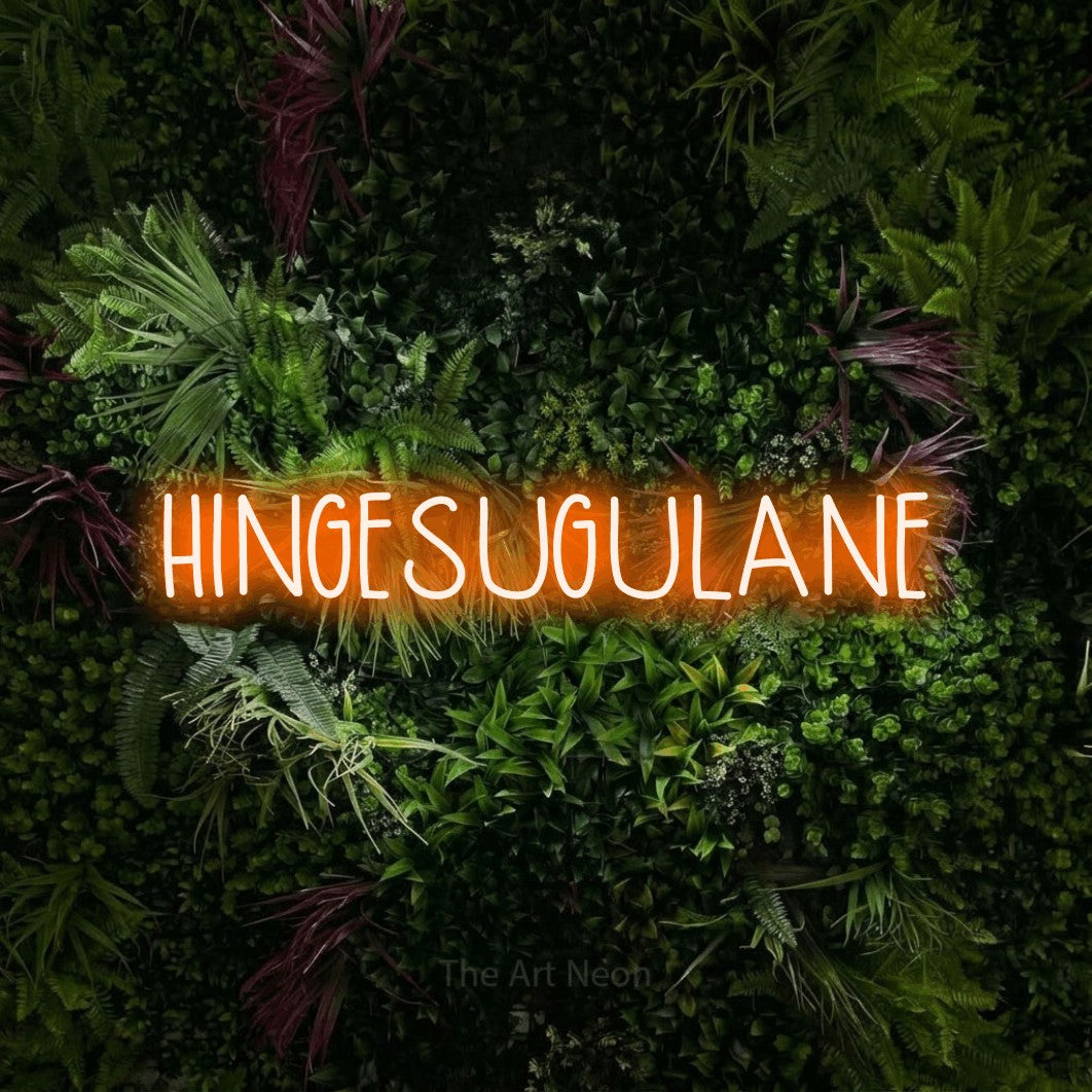 LED neon sign reading “HINGESUGULANE”, arranged in a single line.
