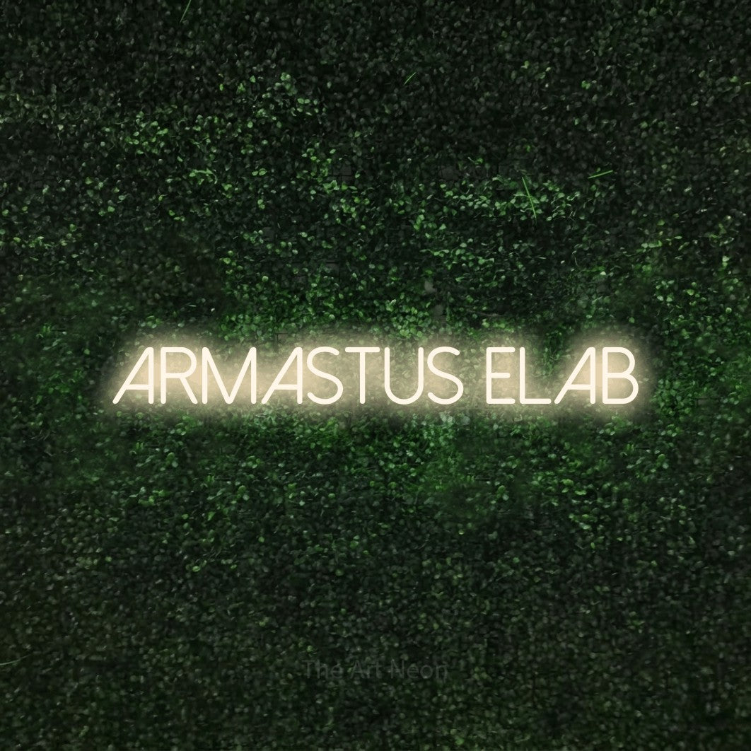 LED neon sign reading “Armastus Elab”, arranged in a single line.
