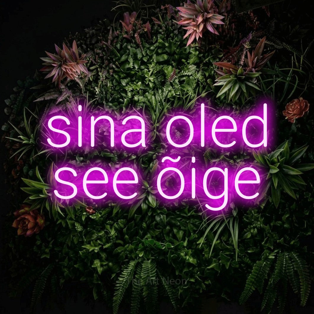 LED neon sign reading “sina oled see õige”, arranged in 2 lines.