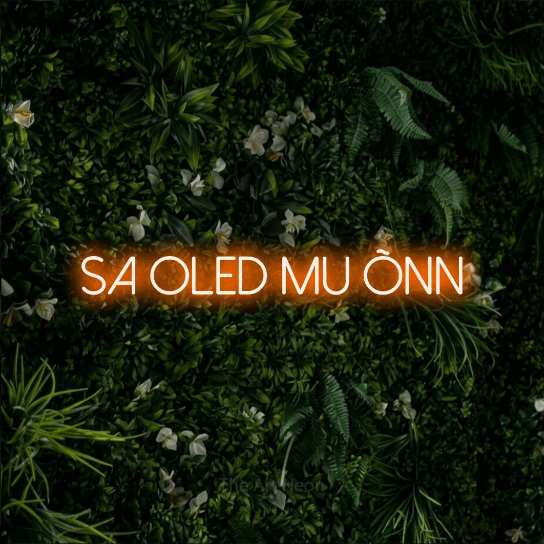 LED neon sign reading “Sa Oled Mu Õnn”, arranged in a single line.