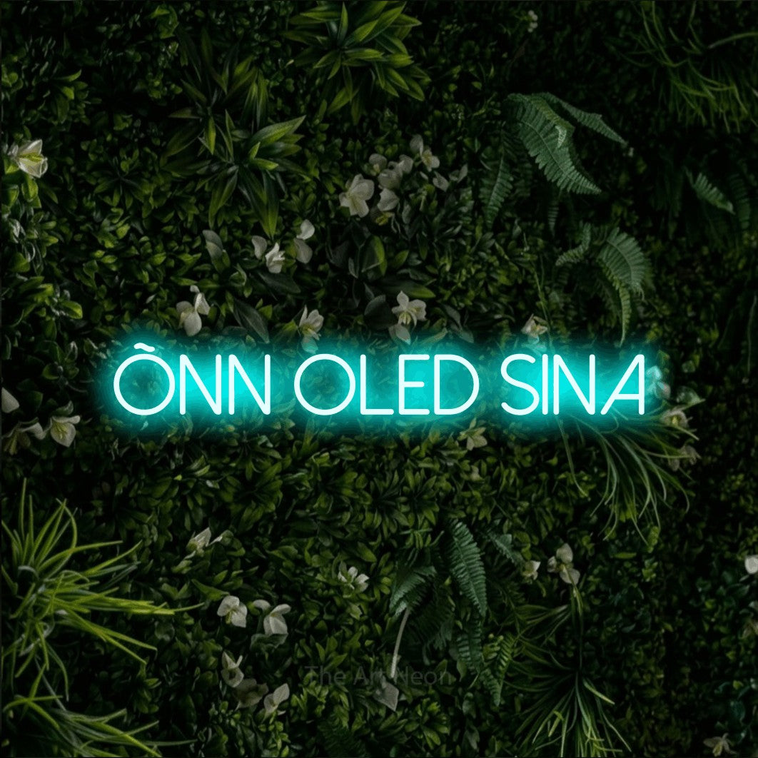 LED neon sign reading “õnn oled sina”, arranged in a single line.