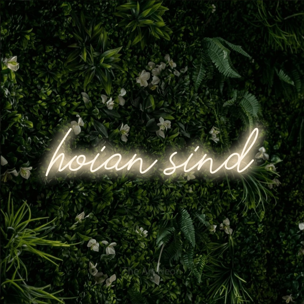 LED neon sign reading “hoian sind”, arranged in a single line.