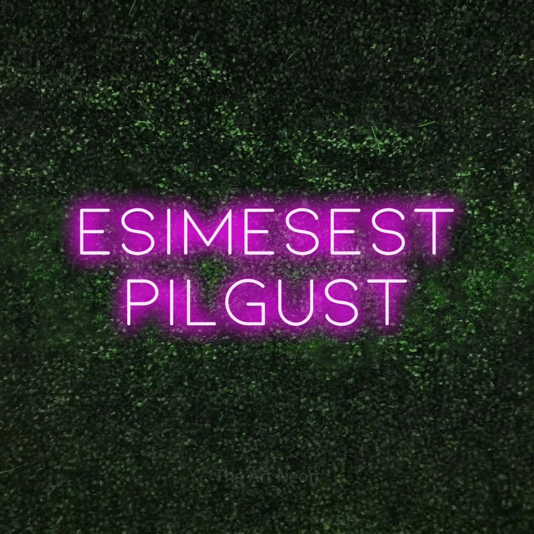 LED neon sign reading “esimesest pilgust”, arranged in 2 lines.