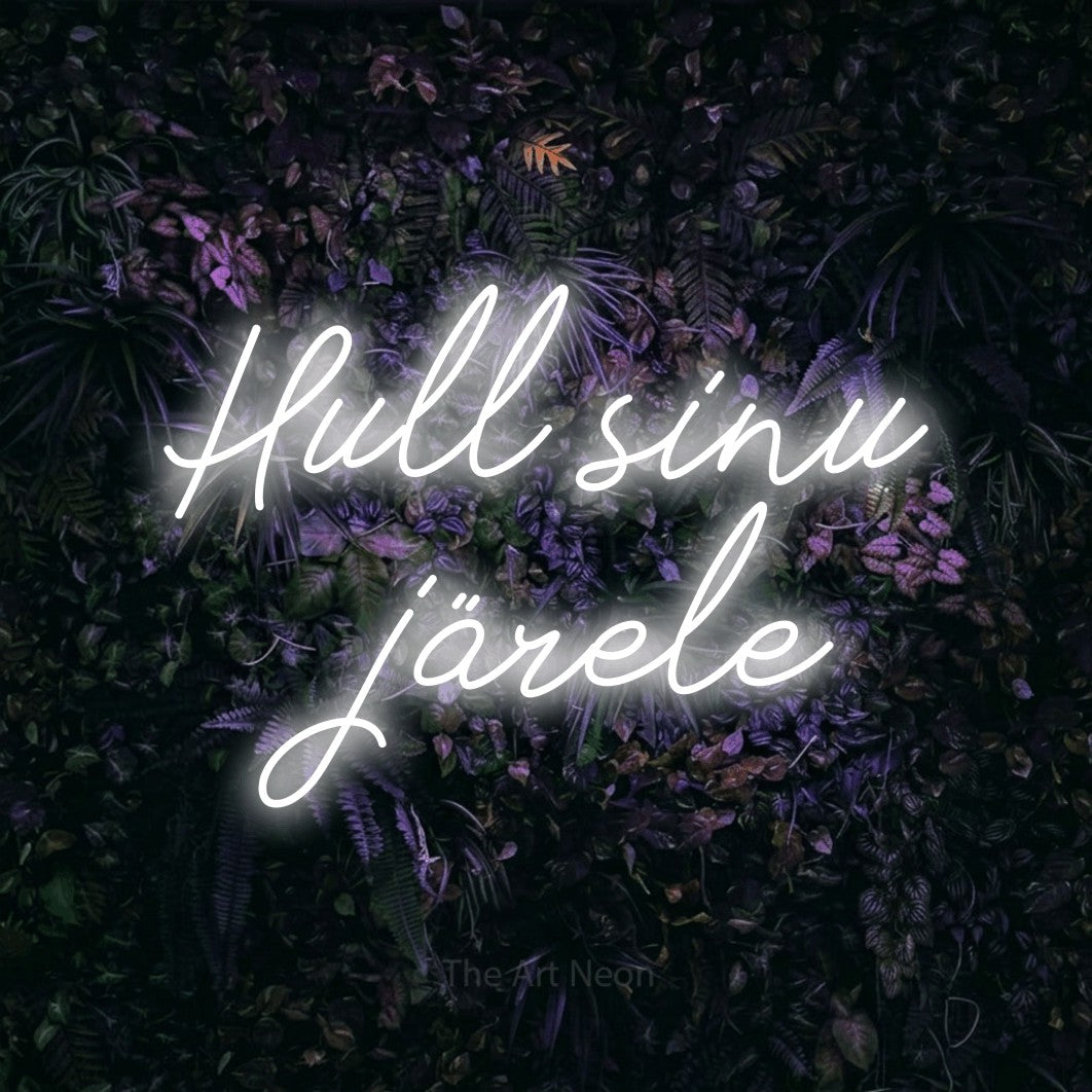 LED neon sign reading “Hull sinu järele”, arranged in 2 lines.