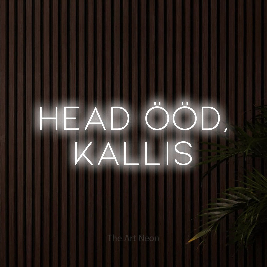 LED neon sign reading “Head ööd, kallis”, arranged in 2 lines.