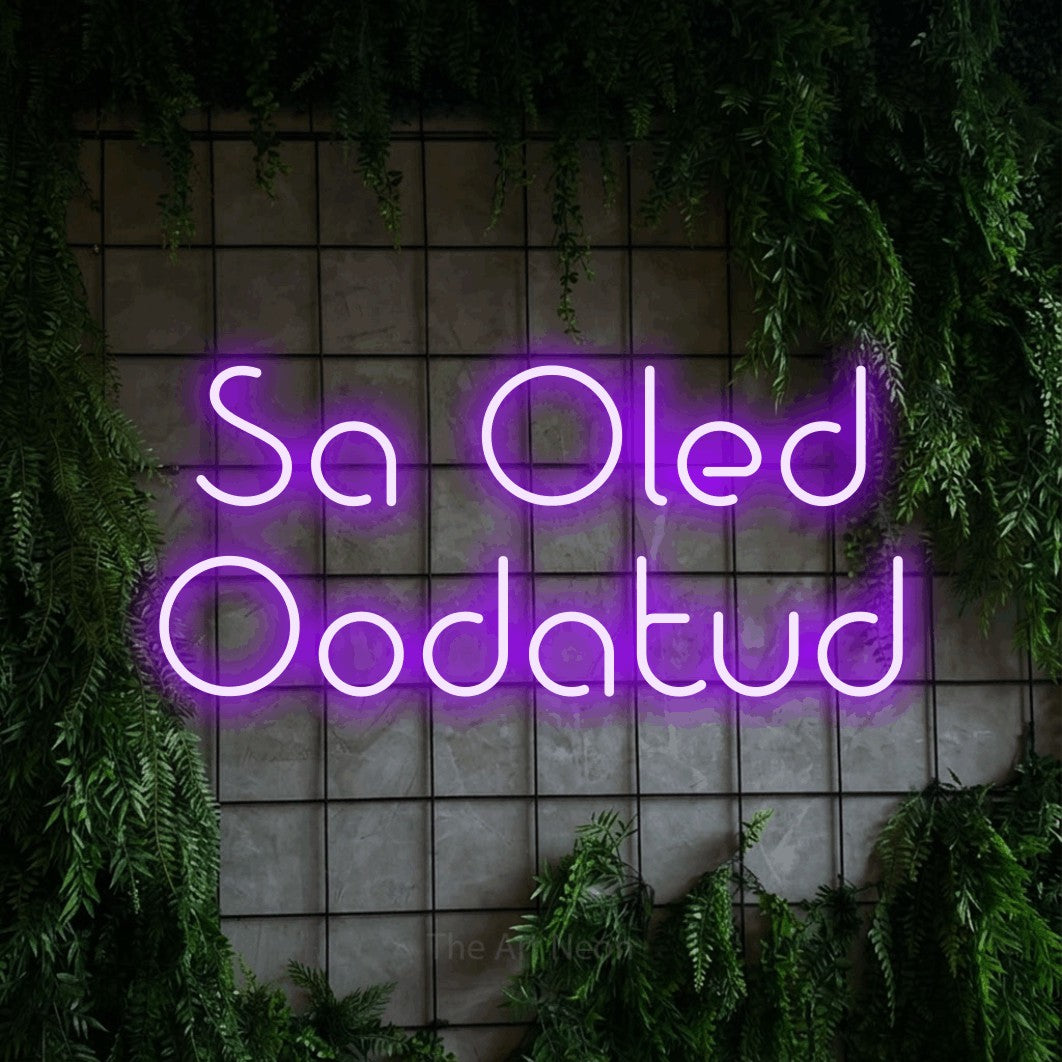 LED neon sign reading “Sa Oled Oodatud”, arranged in 2 lines.