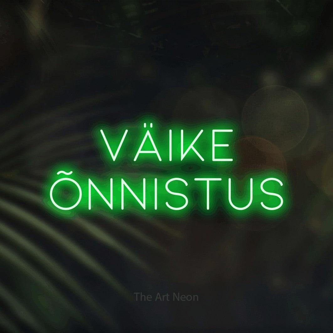 LED neon sign reading “väike õnnistus”, arranged in 2 lines.