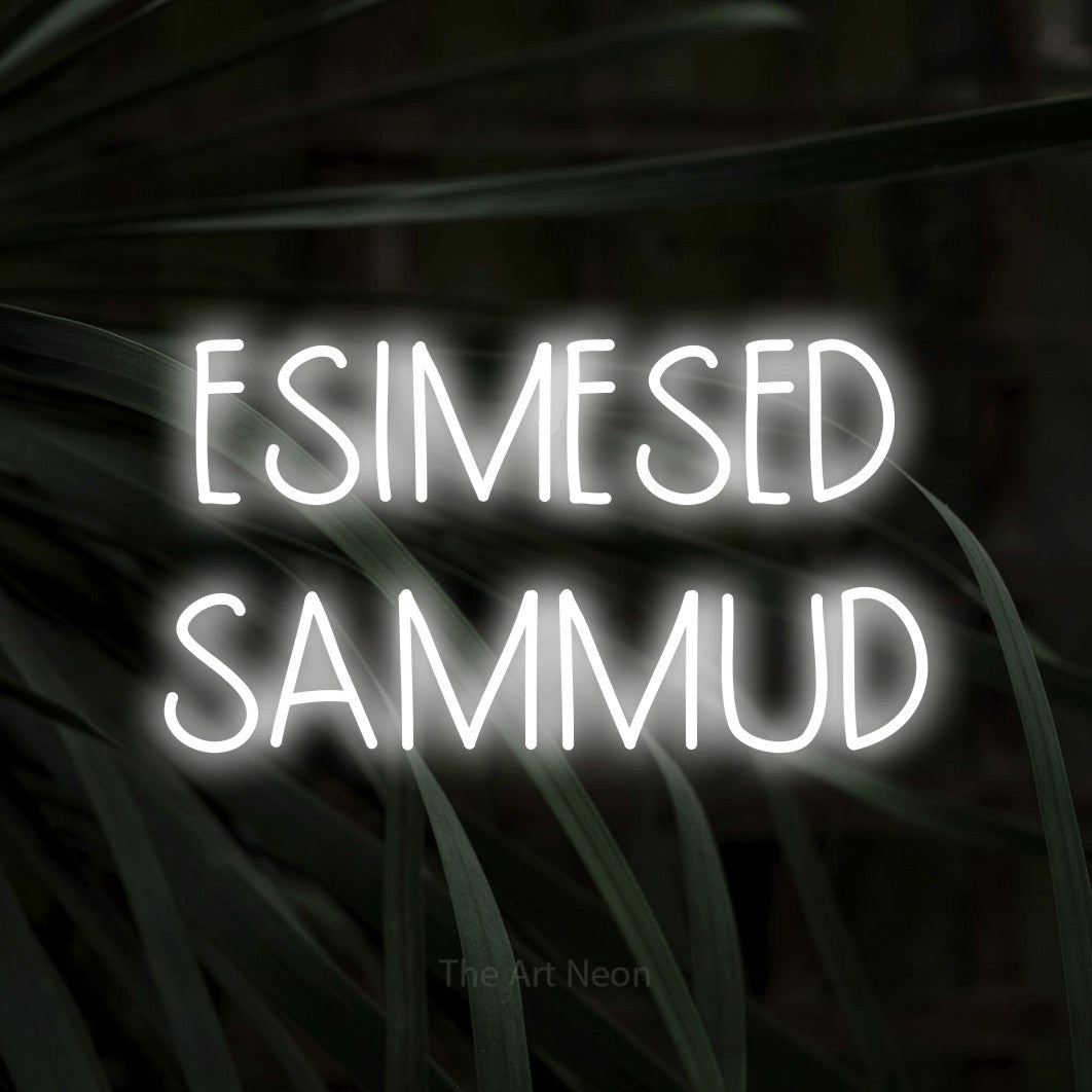 LED neon sign reading “ESIMESED SAMMUD”, arranged in 2 lines.