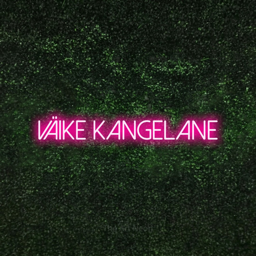 LED neon sign reading “väike kangelane”, arranged in a single line.