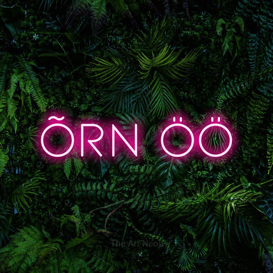 LED neon sign reading “ÕRN ÖÖ”, arranged in a single line.