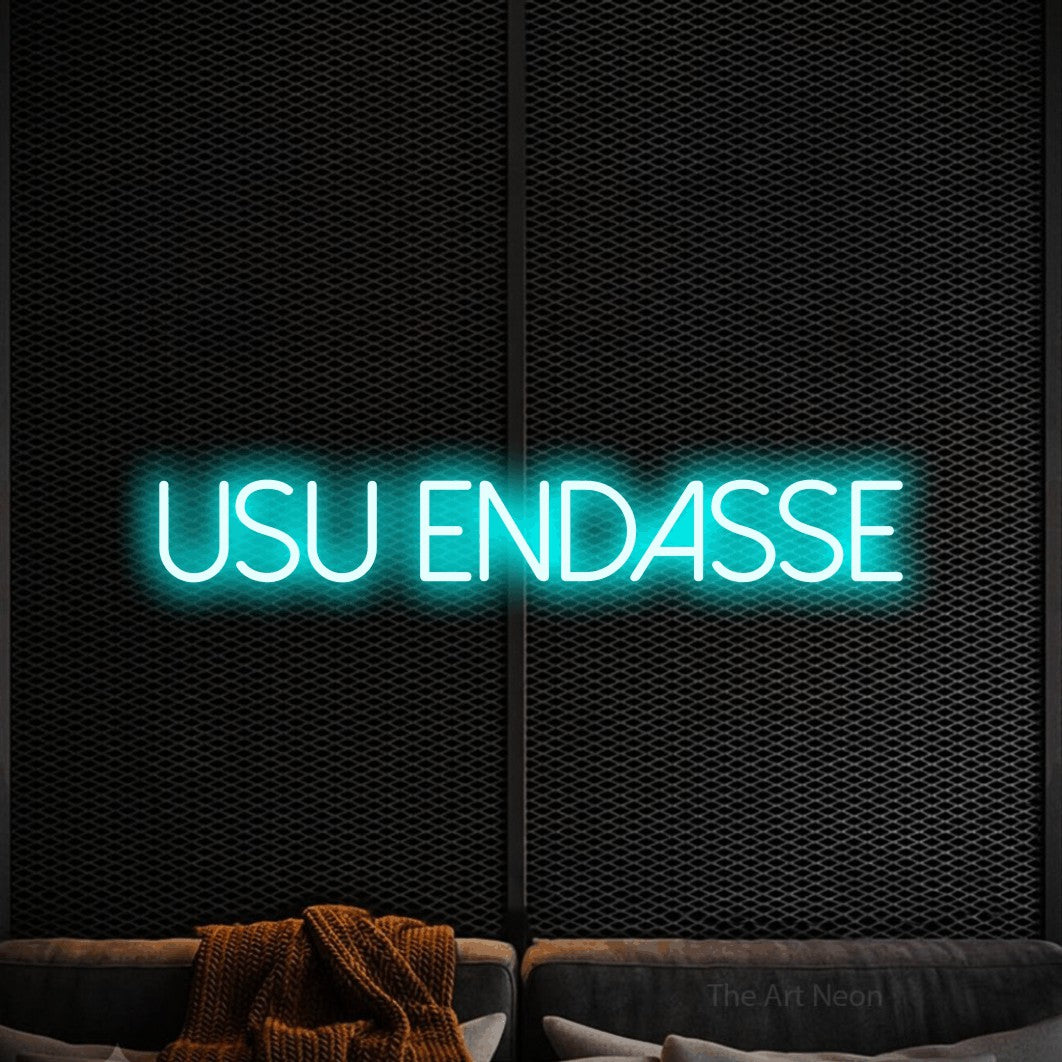 LED neon sign reading “USU ENDASSE”, arranged in a single line.