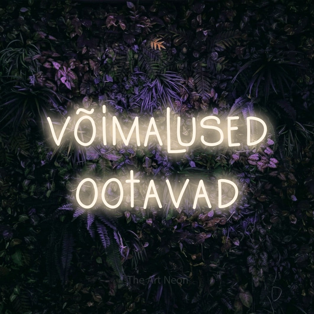 LED neon sign reading “võimalused ootavad”, arranged in 2 lines.
