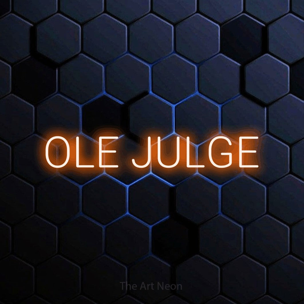 LED neon sign reading “OLE JULGE”, arranged in a single line.