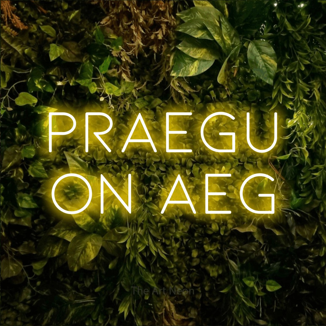 LED neon sign reading “Praegu On Aeg”, arranged in 2 lines.