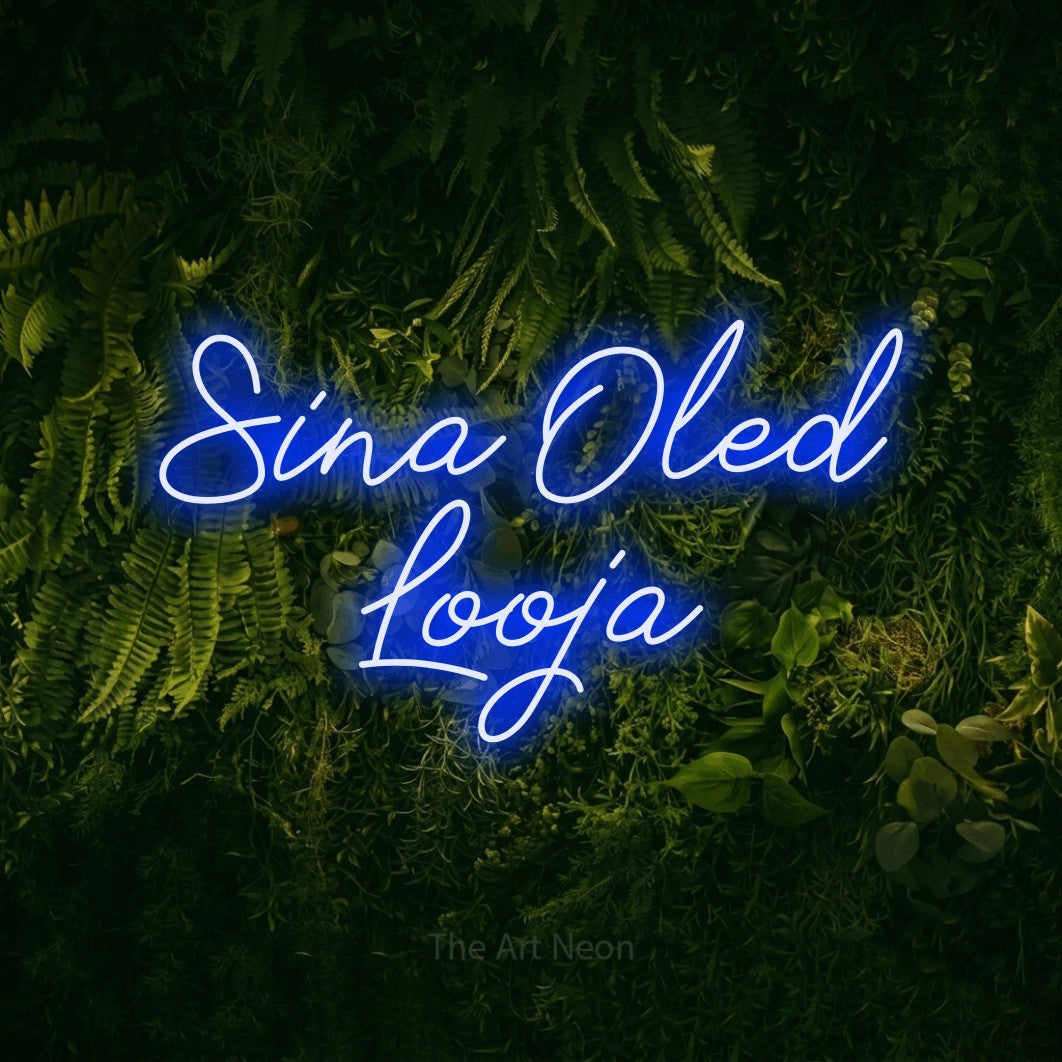 LED neon sign reading “Sina Oled Looja”, arranged in 2 lines.