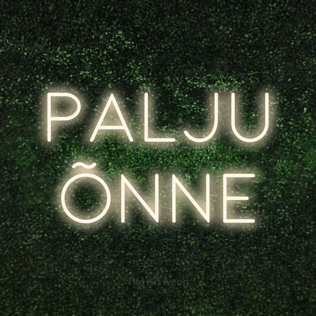 LED neon sign reading “Palju Õnne”, arranged in 2 lines.