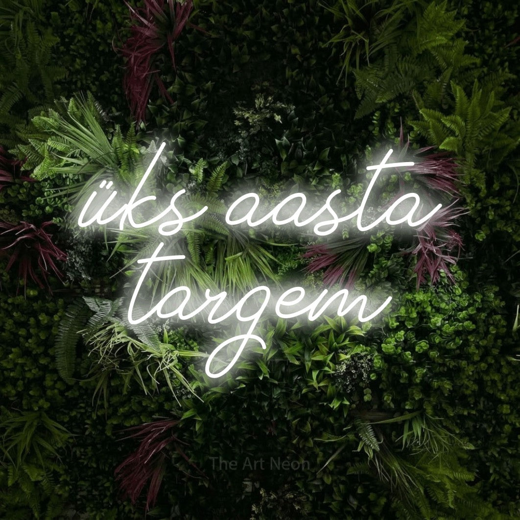LED neon sign reading “üks aasta targem”, arranged in 2 lines.