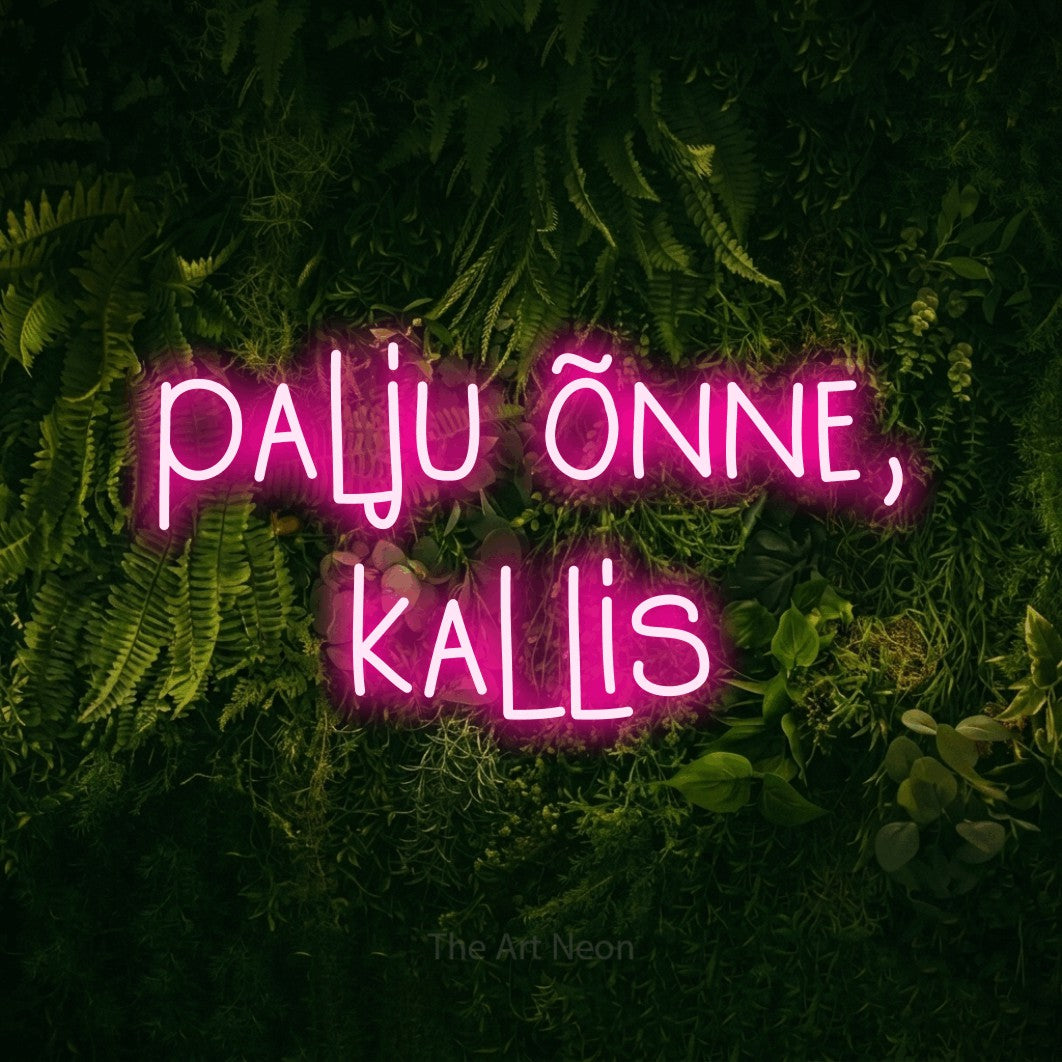 LED neon sign reading “palju õnne, kallis”, arranged in 2 lines.