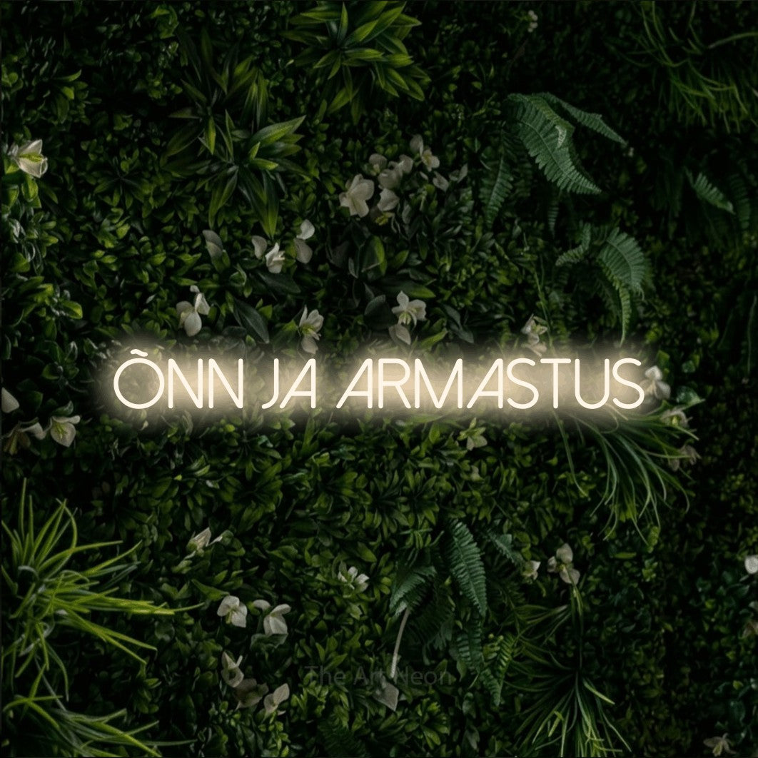LED neon sign reading “õnn ja armastus”, arranged in a single line.
