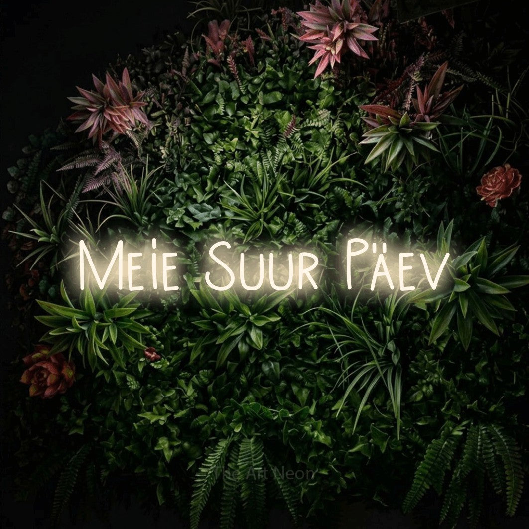 LED neon sign reading “Meie Suur Päev”, arranged in a single line.