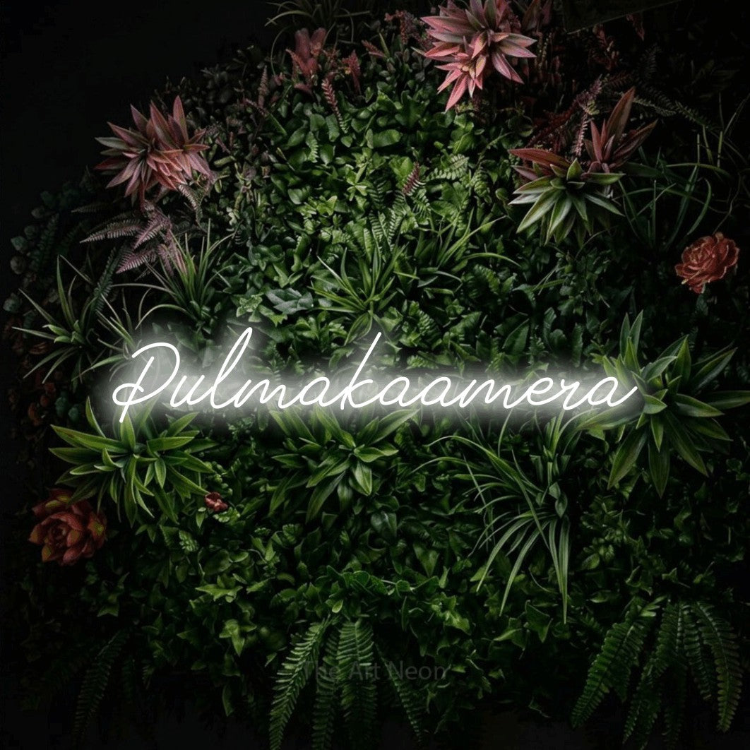 LED neon sign reading “Pulmakaamera”, arranged in a single line.
