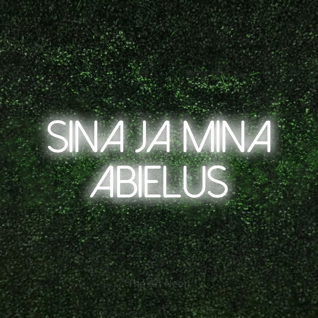LED neon sign reading “sina ja mina abielus”, arranged in 2 lines.