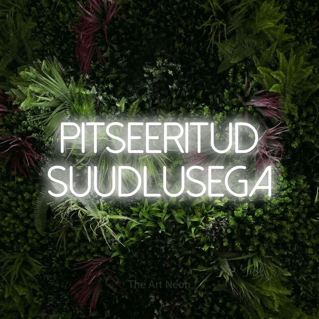 LED neon sign reading “PITSEERITUD SUUDLUSEGA”, arranged in 2 lines.
