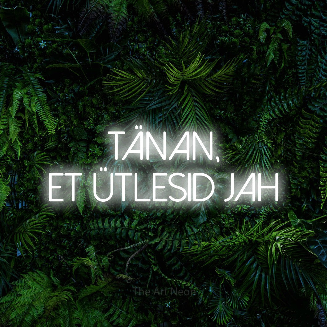 LED neon sign reading “tänan, et ütlesid jah”, arranged in 2 lines.