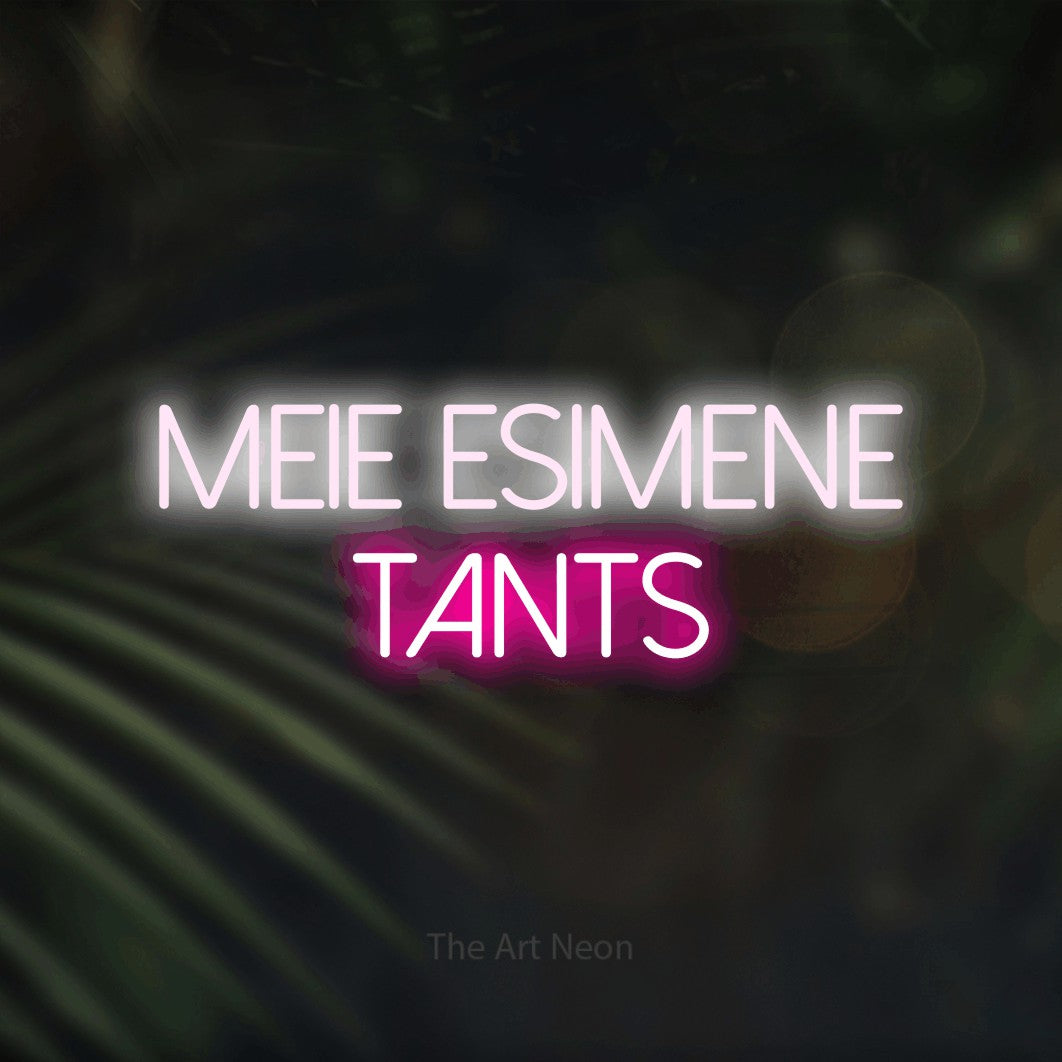 LED neon sign reading “MEIE ESIMENE TANTS”, arranged in 2 lines.