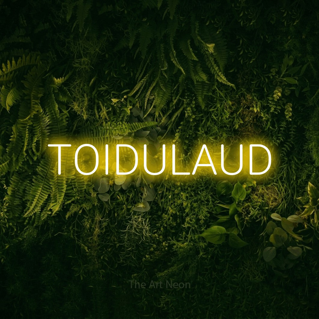 LED neon sign reading “TOIDULAUD”, arranged in a single line.