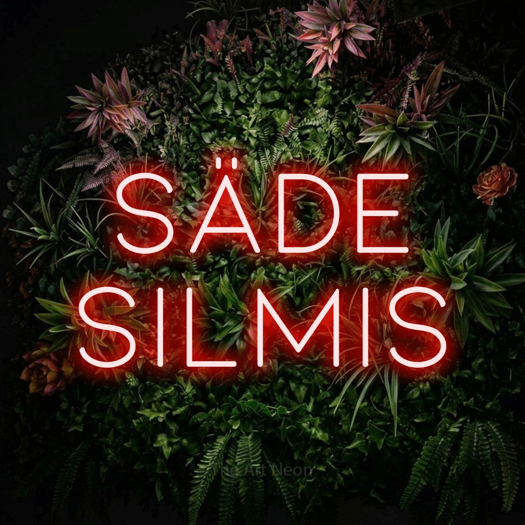 LED neon sign reading “SÄDE SILMIS”, arranged in 2 lines.
